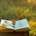 Exploring the World of Rhyme and Meter in Literature