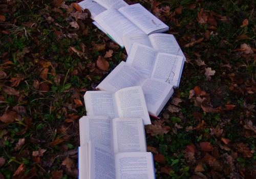 Underrated Authors: Exploring the Hidden Gems of the Literary World