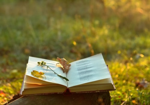 Exploring the World of Rhyme and Meter in Literature